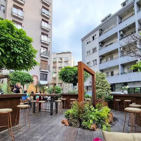 Appartement New Dorcol Ginger *